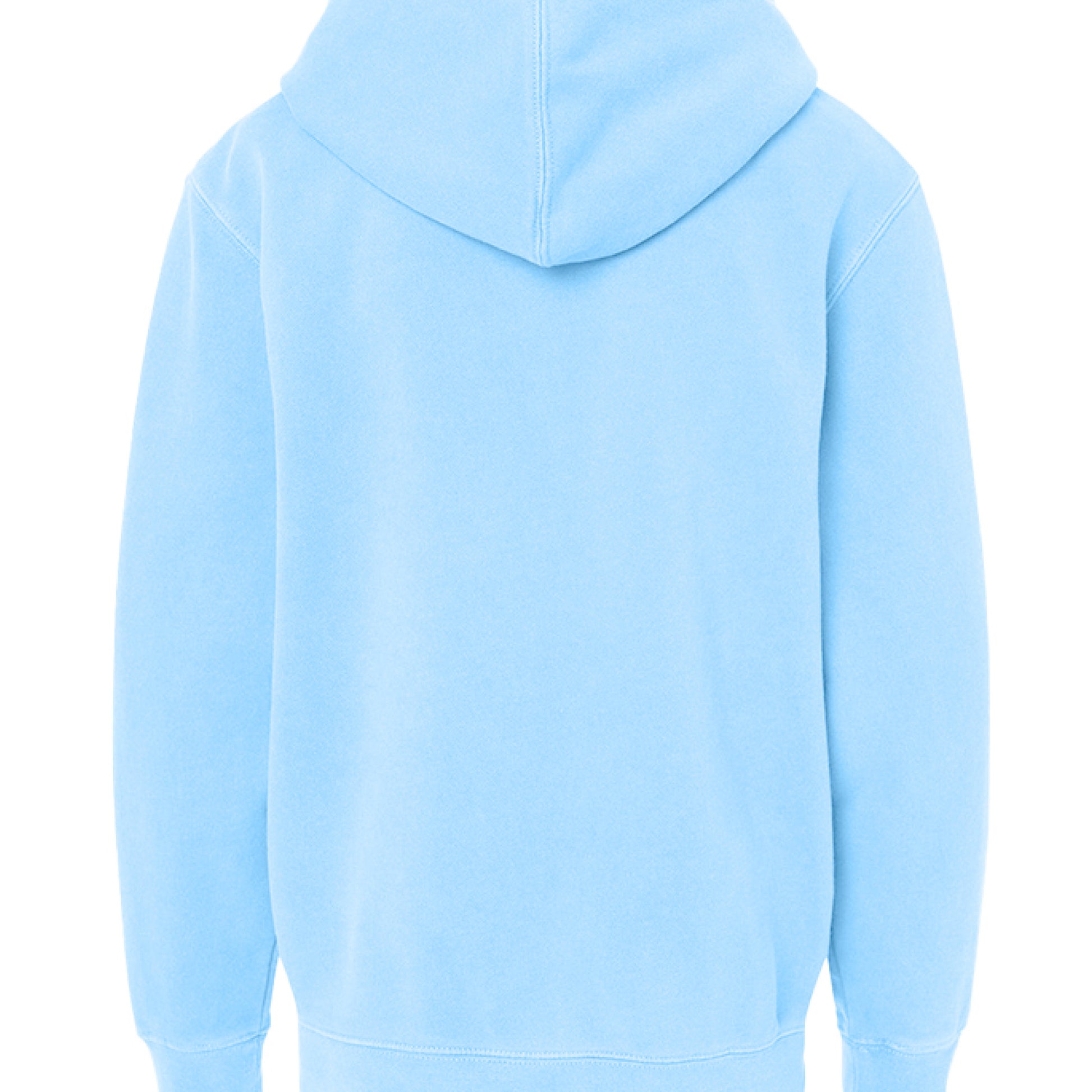 Pigment Light Blue - BACK
