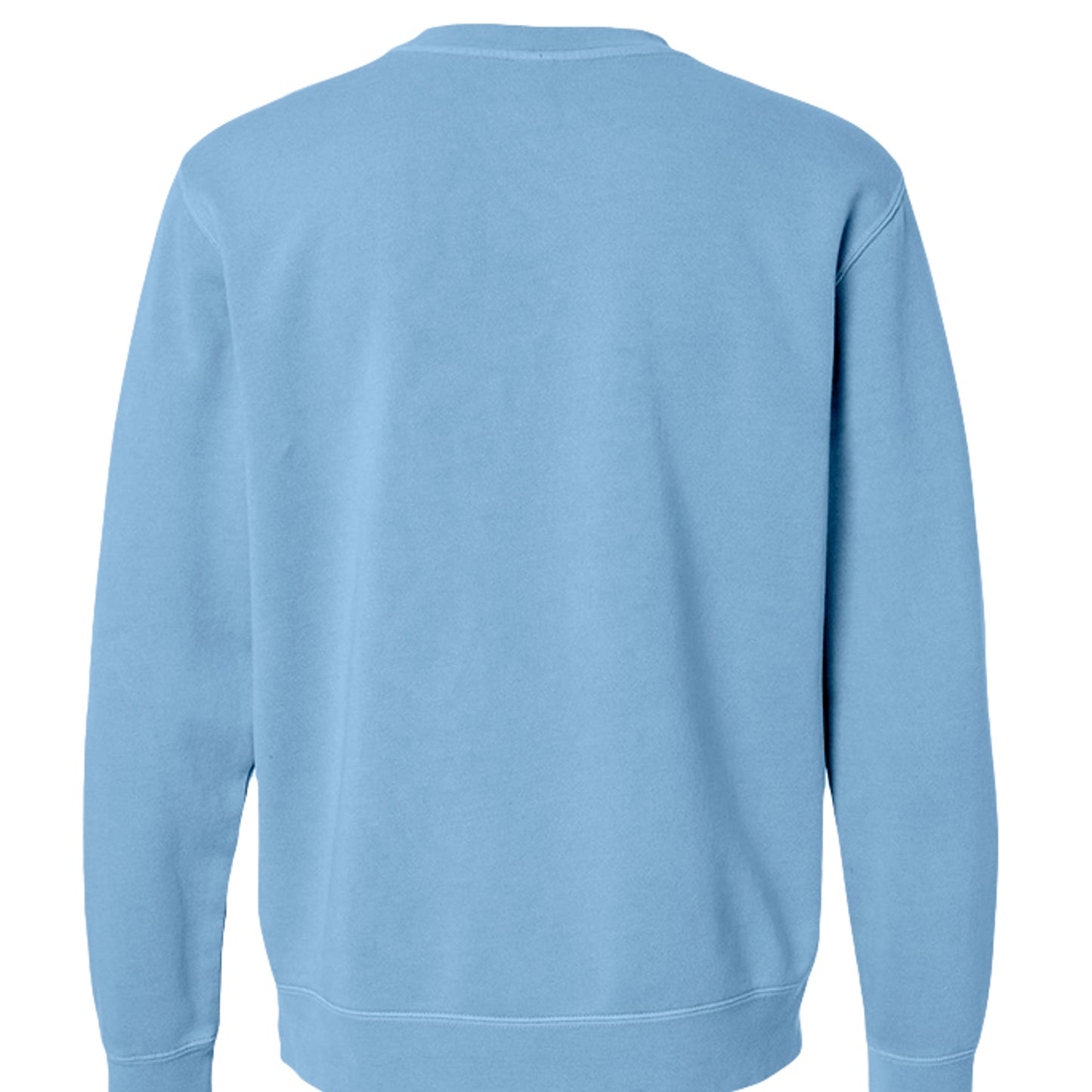 Pigment Light Blue - PRM3500 - BACK